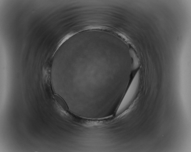 X0000085261369200703301823