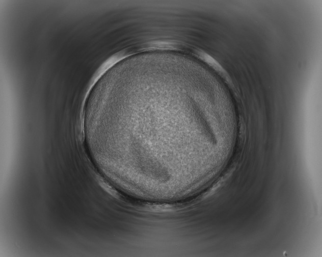 X0000085261370200703301823