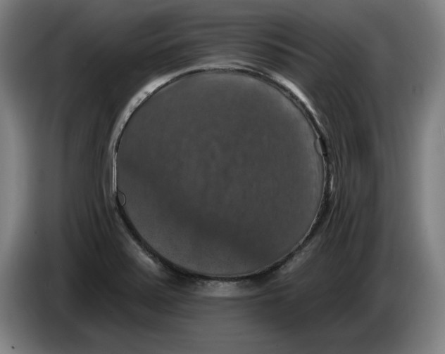 X0000085261371200703301823