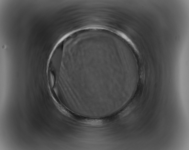 X0000085261372200703301823