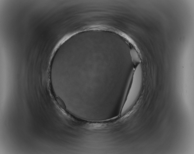 X0000085261373200703301823