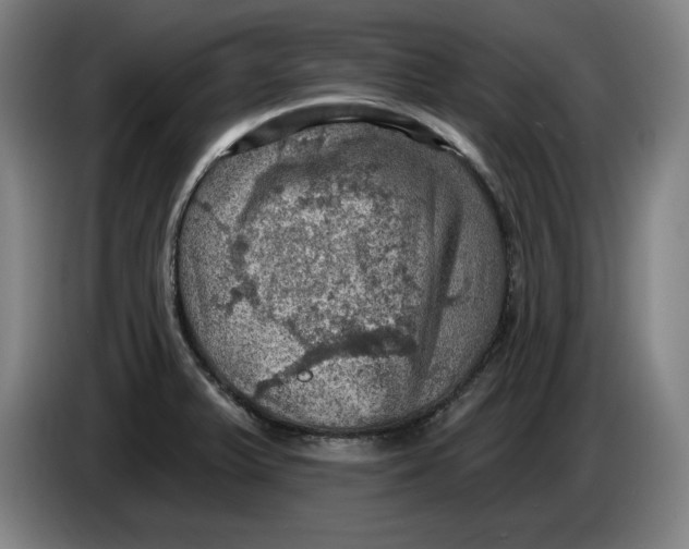 X0000085261375200703301823