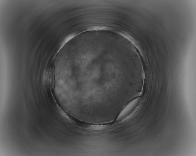 X0000085261377200703301823