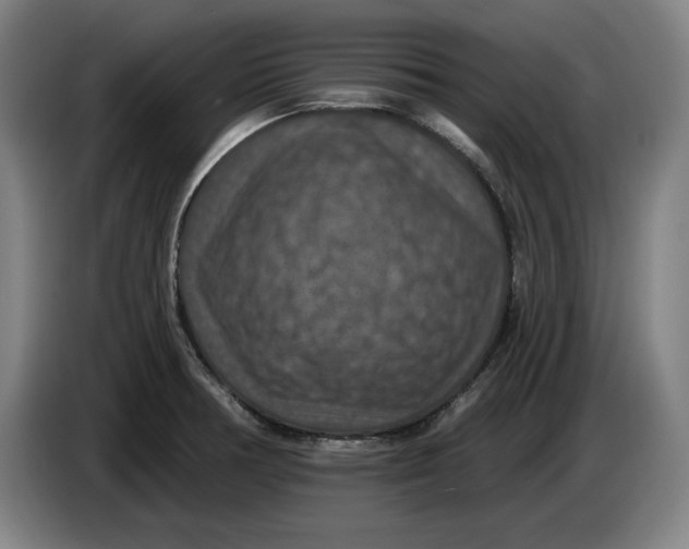 X0000085261378200703301823