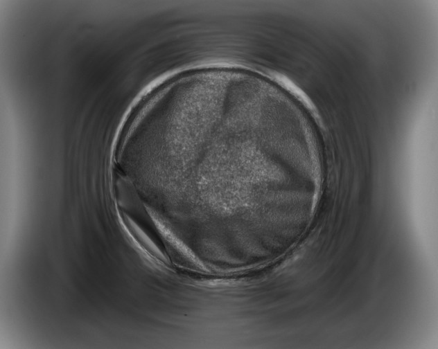 X0000085261380200703301823