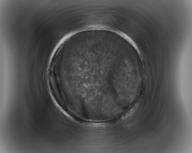 X0000085261381200703301823