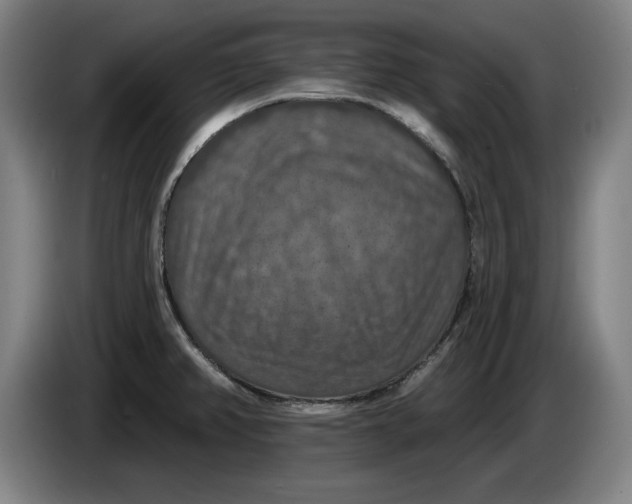 X0000085261382200703301823