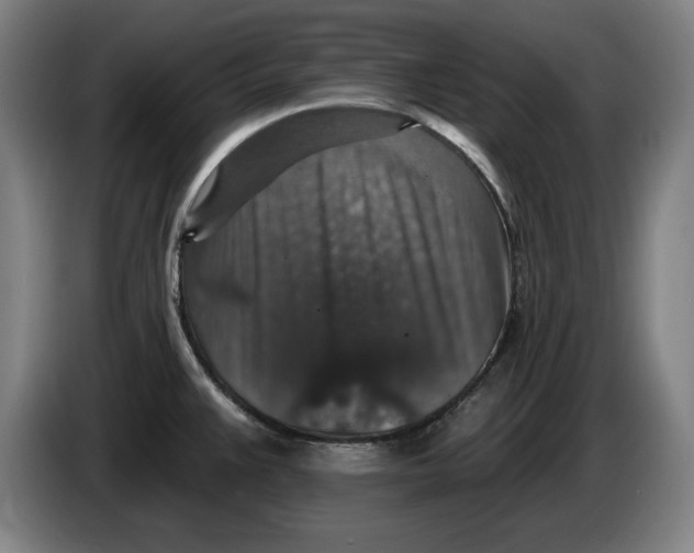 X0000085261383200703301823