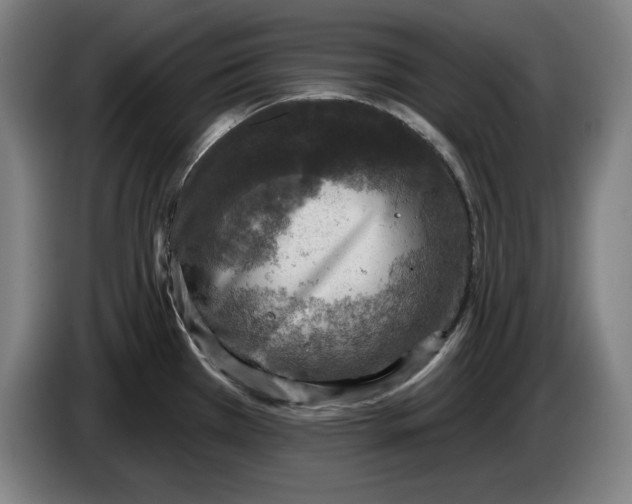 X0000085261385200703301823