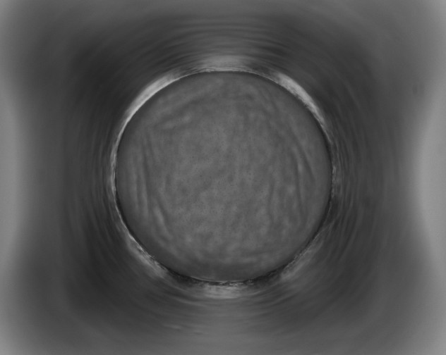 X0000085261386200703301823