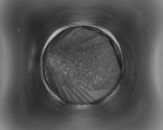 X0000085261389200703301823