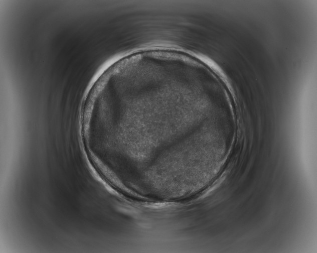 X0000085261390200703301823