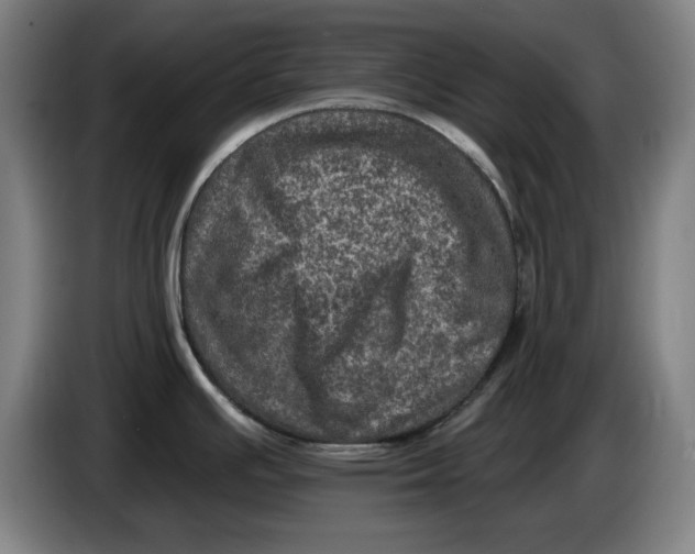 X0000085261391200703301823