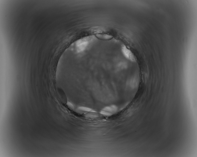 X0000085261393200703301822