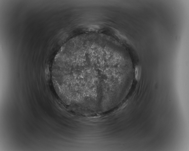 X0000085261395200703301822