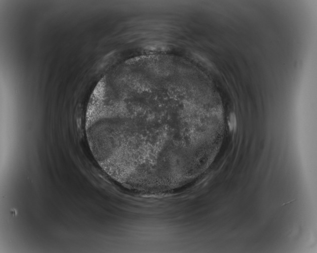 X0000085261396200703301822