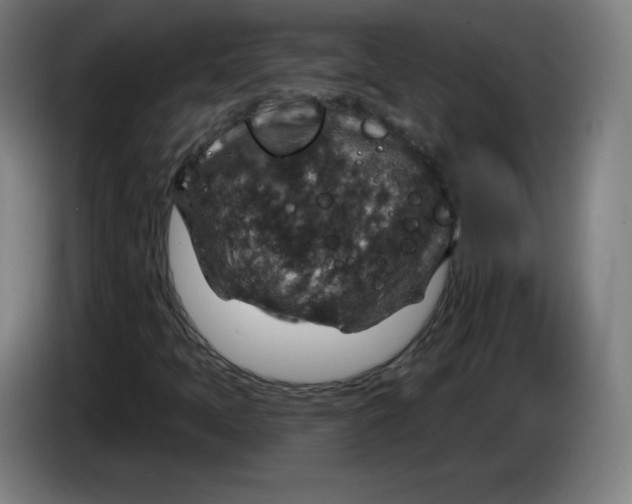 X0000085261397200703301822