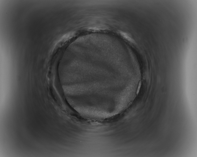 X0000085261398200703301822