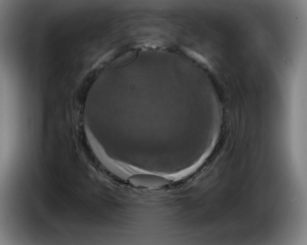 X0000085261399200703301822