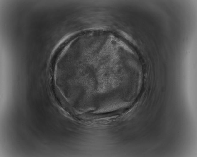 X0000085261400200703301822