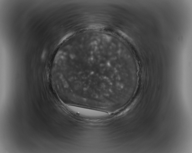 X0000085261401200703301822