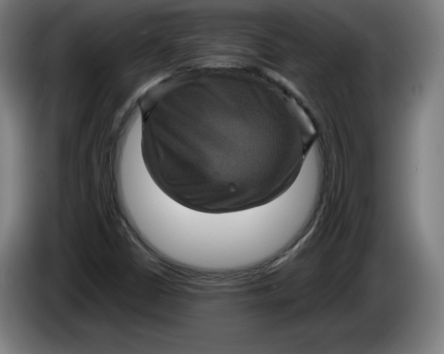 X0000085261402200703301822