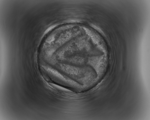 X0000085261404200703301822