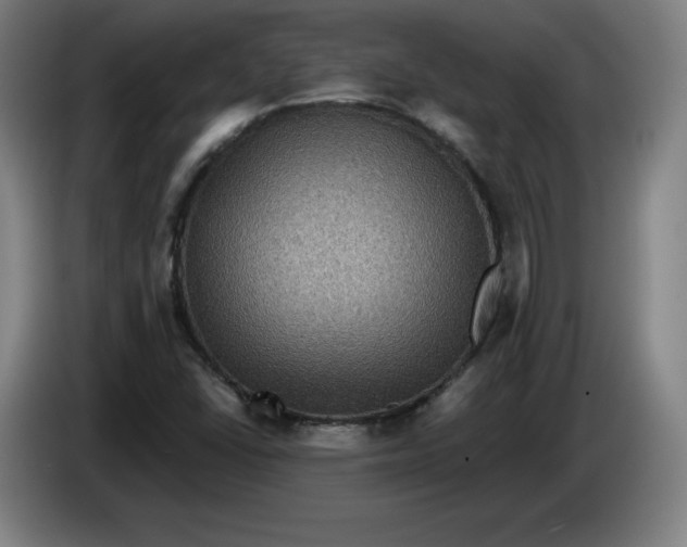 X0000085261406200703301822