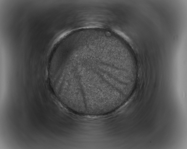 X0000085261407200703301822