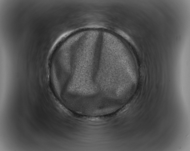 X0000085261408200703301822