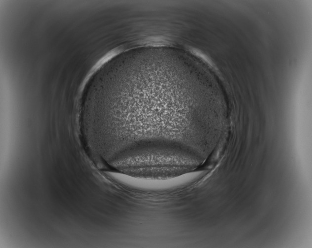 X0000085261410200703301823