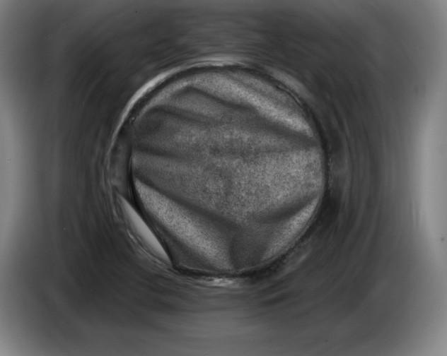 X0000085261412200703301823