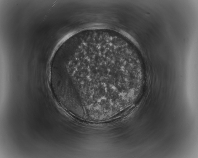 X0000085261413200703301823