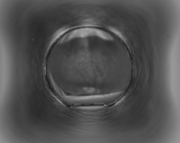 X0000085261415200703301823