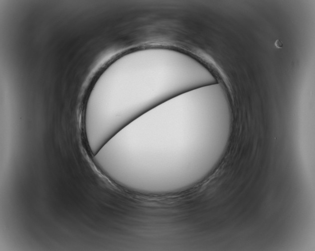 X0000085261416200703301823