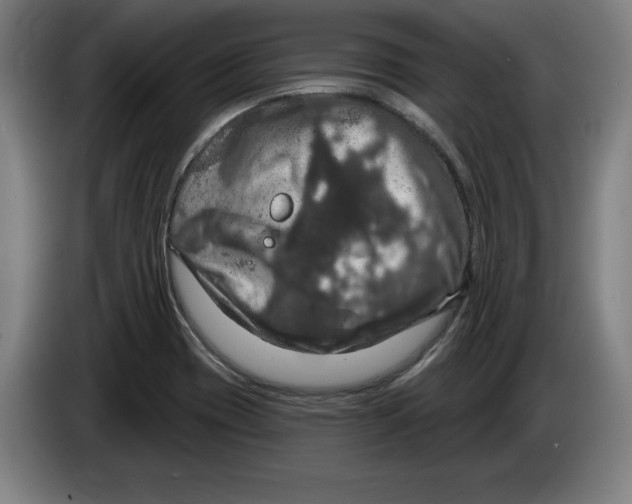 X0000085261417200703301823