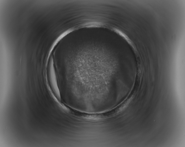 X0000085261418200703301823