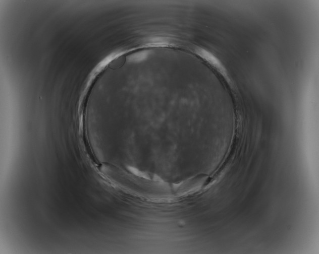 X0000085261419200703301823