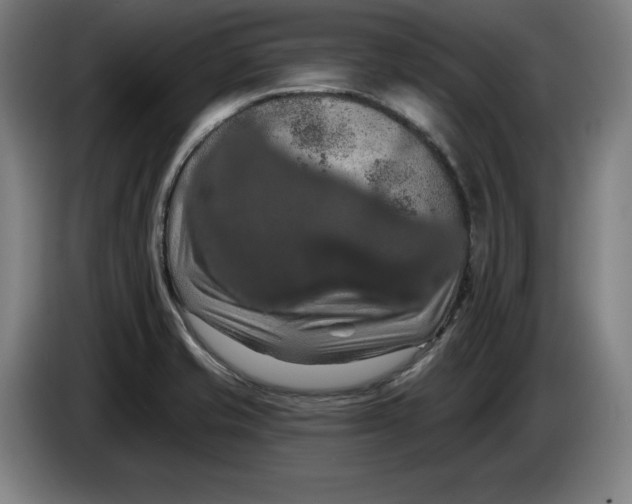 X0000085261421200703301823