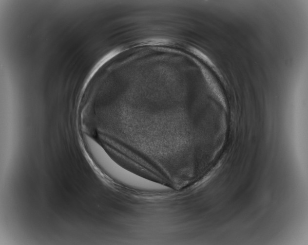 X0000085261426200703301823