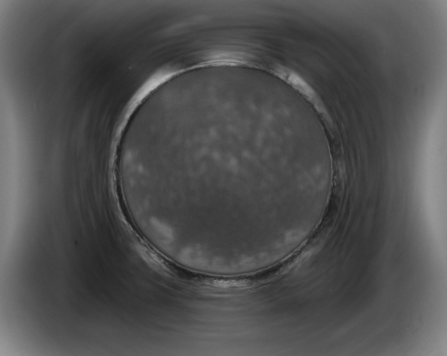 X0000085261427200703301823