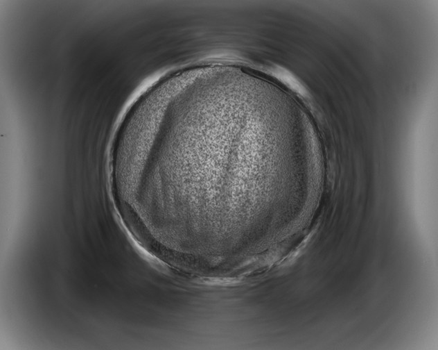 X0000085261430200703301823