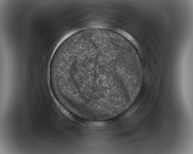 X0000085261431200703301823