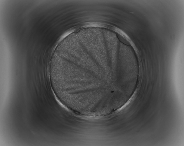 X0000085261433200703301823