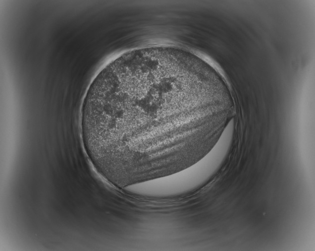 X0000085261439200703301823