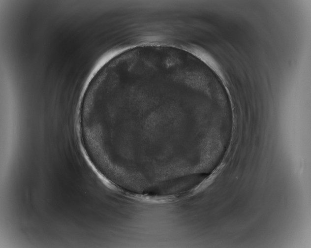 X0000085261440200703301823