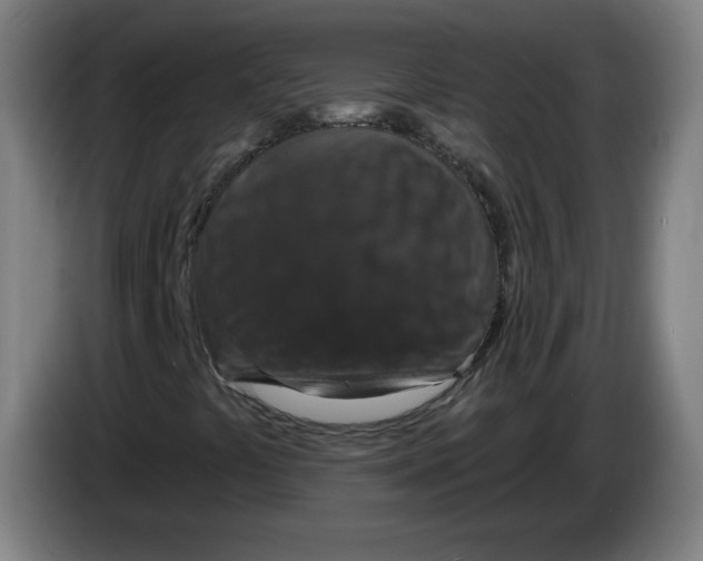 X0000085261441200703301822