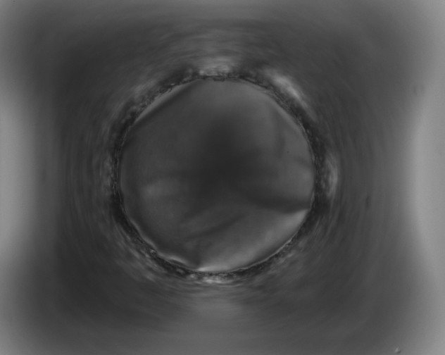 X0000085261445200703301822