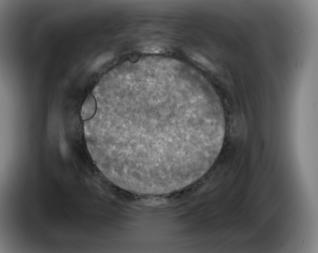 X0000085261446200703301822