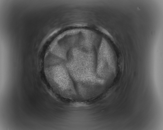 X0000085261448200703301822